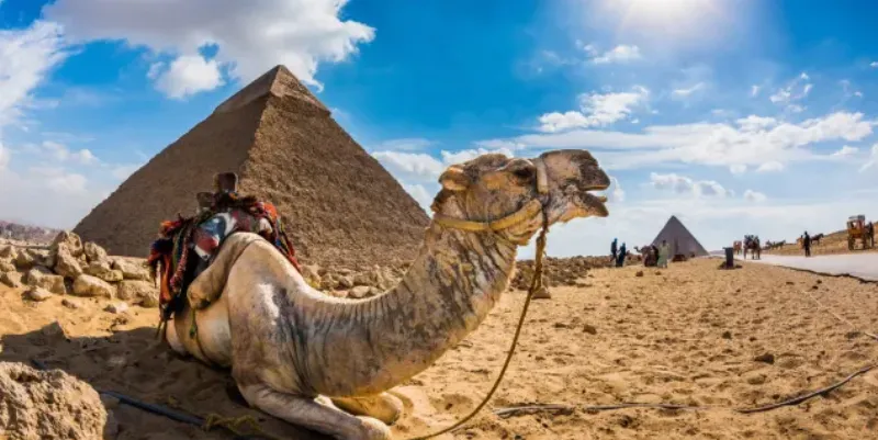 Pyramide de Gizeh, emblème intemporel de l’architecture égyptienne antique, majestueuse sous un ciel clair
